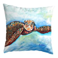 Turtle Looking At Me No Cord Pillow 18x18