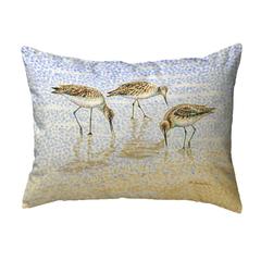 Willet Sandpipers Feeding No Cord Pillow 16x20