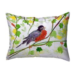 Robin No Cord Pillow 16x20