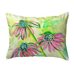 Cone Flowers No Cord Pillow 16x20