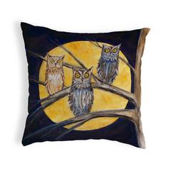 Night Owls No Cord Pillow 18x18