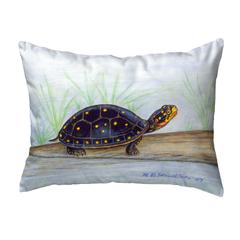 Spotted Turtle No Cord Pillow 16x20
