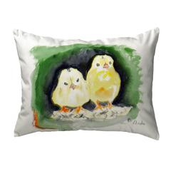 Chicks No Cord Pillow 16x20