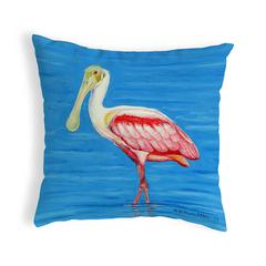 Dick's Spoonbill No Cord Indoor/Outdoor Pillow 18x18