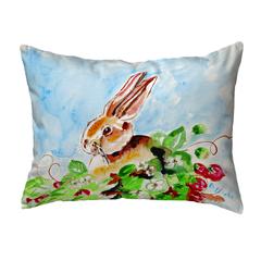 Jack Rabbit Left No Cord Pillow 16x20