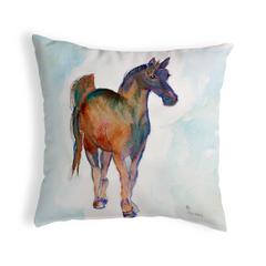 Colt No Cord Pillow 18x18