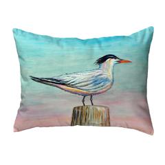 Royal Tern No Cord Pillow 16x20