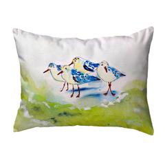 Green Sanderlings No Cord Pillow 16x20