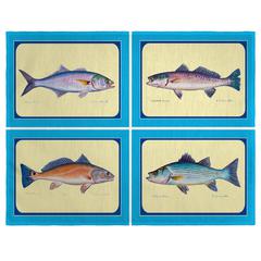 Assorted Fish Place Mat Set of 4
