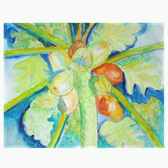Big Cocoa Nuts Place Mat Set of 4