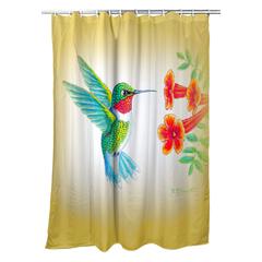 Dick's Hummingbird Shower Curtain