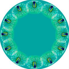Peacock Round Table Cloth 58