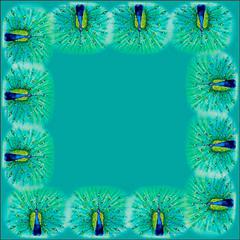 Peacock Square Table Cloth 52