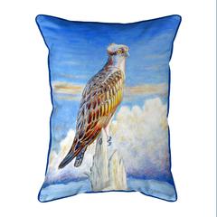 Osprey Storm Extra Large Zippered Indoor/Outdoor Pillow 20x24
