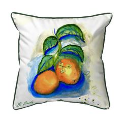 Two Oranges Extra Large Zippered Indoor/Outdoor Pillow 22x22