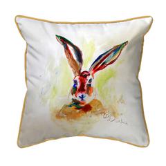 Jack Rabbit Extra Large Zippered Pillow 22x22