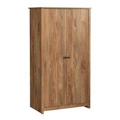 River Ranch 2-Door Storage Cabinet in Sindoori Mango Finish