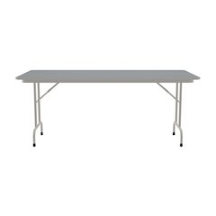 Thermal Fused Laminate Top Folding Table 36x72"