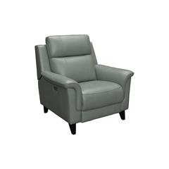 Kester Power Recliner w/Power Head Rest