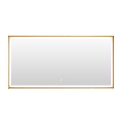 60"x30" Rectangular Wall Mirror in Brushed Gold Aluminum Framed