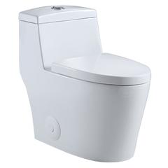 Savona Dual Flush Elongated One-Piece Toilet (Seat Included)