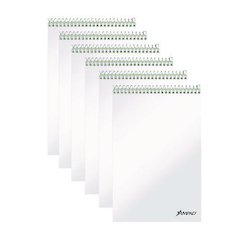 Steno Pads, Green Cover, Gregg Rule, (80) Green-Tint 6 x 9 Sheets, 6/Pack