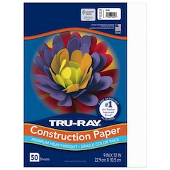 Tru-Ray Construction Paper, 76 lb Text Weight, 9 x 12, White, 50 Sheets/Pack, 50 Packs/Carton
