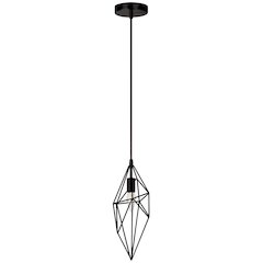 1 Light Incandescent Pendant, Black Finish