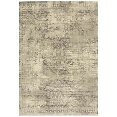 ASTOR Beige 5' 3 X  7' 6 Area Rug