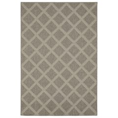 CAICOS Grey 1'10 X  7' 6 Area Rug