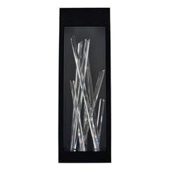 Arpione Esterno 24 in  Black Fluorocarbon Outdoor Wall Sconce
