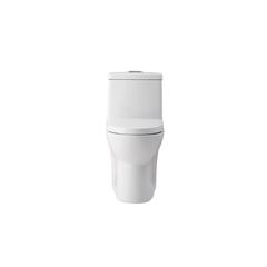 Winslet One-piece elongated Toilet 28x15x30 in White