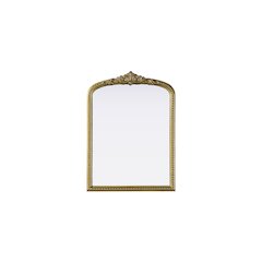 Naomi Vintage Resin Mirror 22x30 in Antique Brass