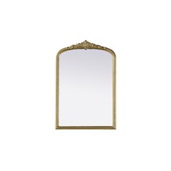 Naomi Vintage Resin Mirror 24x36 in Antique Brass