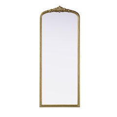 Naomi Vintage Resin Mirror 24x60 in Antique Brass