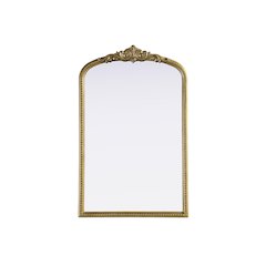 Naomi Vintage Resin Mirror 27x42 in Antique Brass
