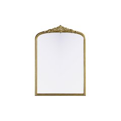 Naomi Vintage Resin Mirror 30x42 in Antique Brass