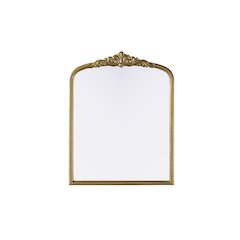Naomi Vintage Resin Mirror 33x42 in Antique Brass