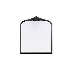 Naomi Vintage Resin Mirror 36x42 in Vintage Bronze