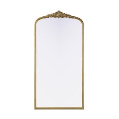Naomi Vintage Resin Mirror 36x72 in Antique Brass