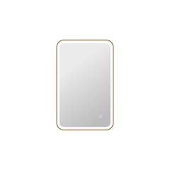36 Inch Rectangle LED Front and Backlit Wall Mirror in Satin Gold