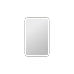 36 Inch Rectangle LED Front and Backlit Wall Mirror in Silver