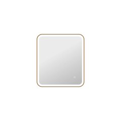30 Inch Rectangle LED Front and Backlit Wall Mirror in Satin Gold