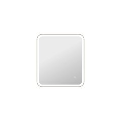 30 Inch Rectangle LED Front and Backlit Wall Mirror in Silver