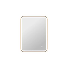 36 Inch Rectangle LED Front and Backlit Wall Mirror in Satin Gold