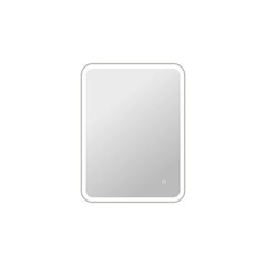 36 Inch Rectangle LED Front and Backlit Wall Mirror in Silver