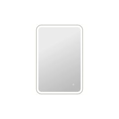 40 Inch Rectangle LED Front and Backlit Wall Mirror in Silver