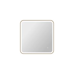 30 Inch Rectangle LED Front and Backlit Wall Mirror in Satin Gold