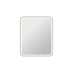 36 Inch Rectangle LED Front and Backlit Wall Mirror in Satin Gold