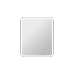 36 Inch Rectangle LED Front and Backlit Wall Mirror in Silver